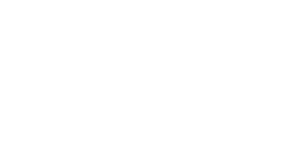 Baltimore Symphony Orchestra Logo